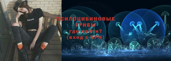 гашик Алзамай