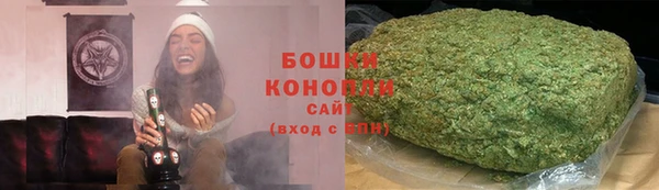 гашик Алзамай