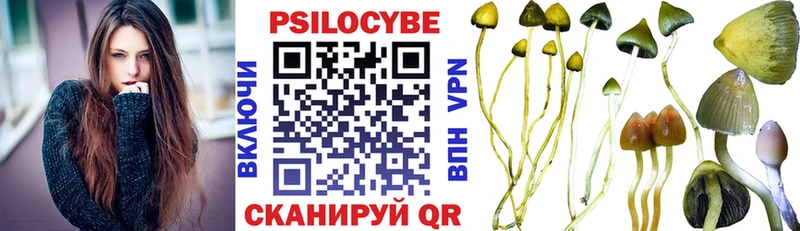 omg зеркало  Москва  Галлюциногенные грибы мицелий 
